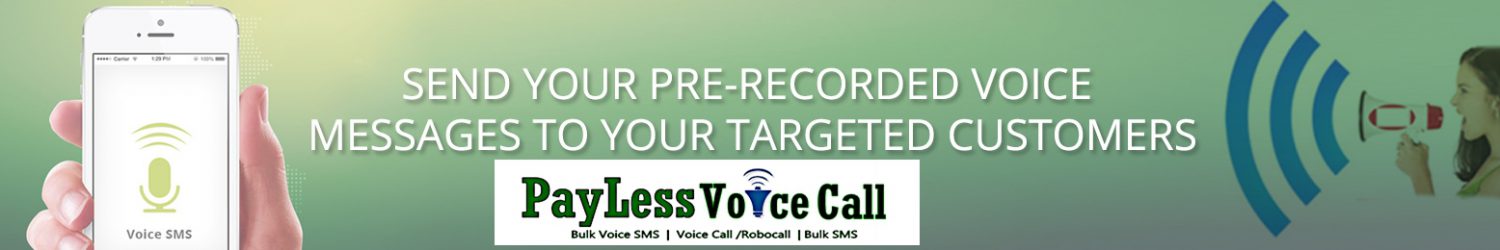 Payless Voice Call
