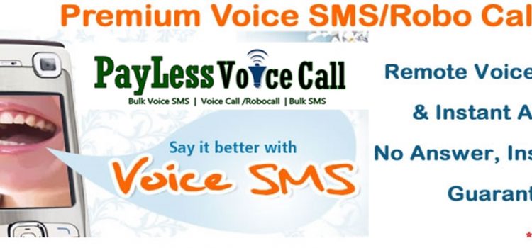 How Bulk Voice Call Works for Political Campaigns How Bulk Voice Call Works for Political Campaigns